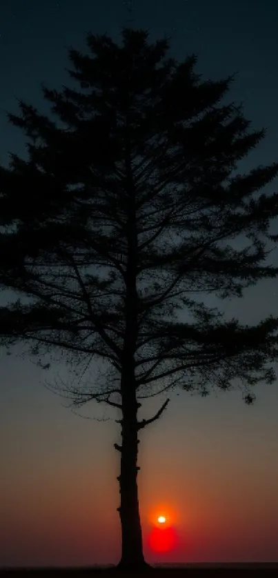 Silhouetted tree against a vibrant sunset sky on mobile wallpaper.