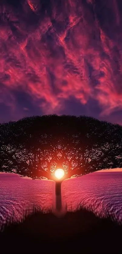 Beautiful sunset silhouette tree with vibrant purple and pink sky.