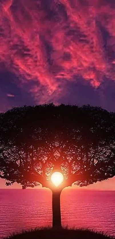 Sunset tree silhouette wallpaper with vibrant purple and pink sky.