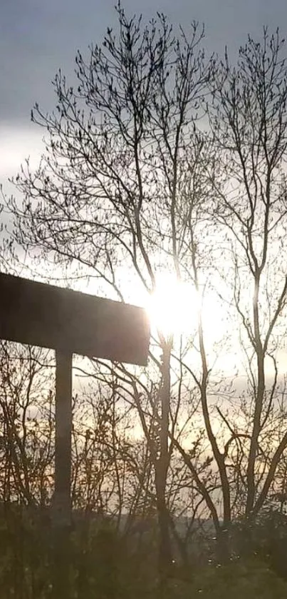 Serene sunset with silhouetted tree and signpost against a gray sky.