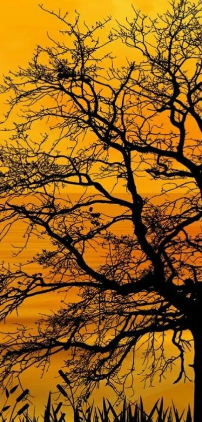 Silhouette of tree against vibrant orange sunset sky.