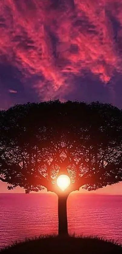 Silhouette of a tree at sunset with a vibrant pink sky and ocean view.