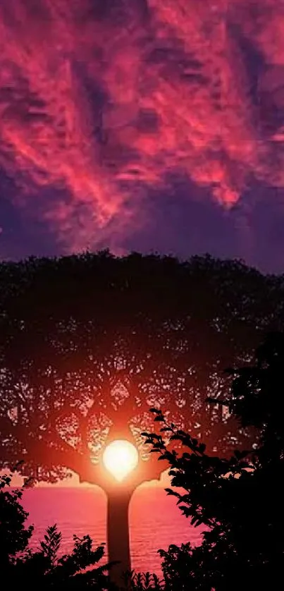 Beautiful sunset wallpaper with a silhouette tree and vivid pink sky.