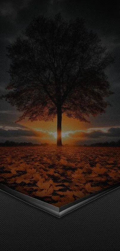 Silhouette of tree at sunset with orange sky.