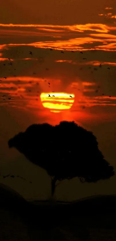 A stunning orange sunset with a tree silhouette against the sky.