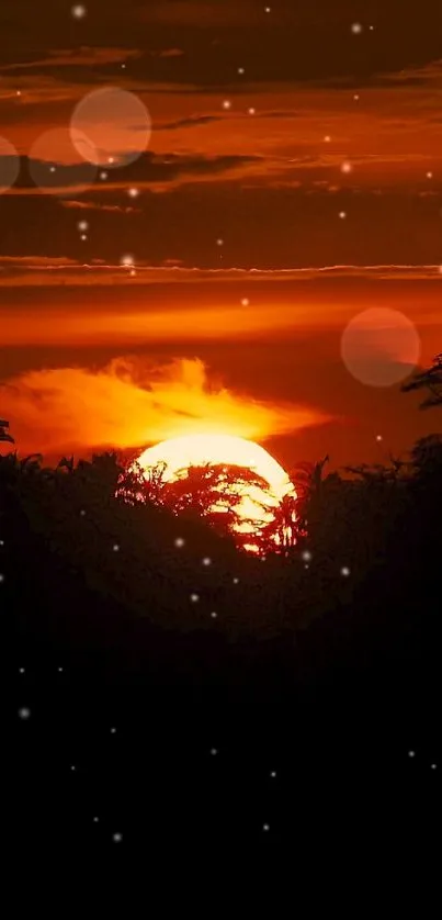 Silhouette of trees against a vibrant orange sunset on the horizon.