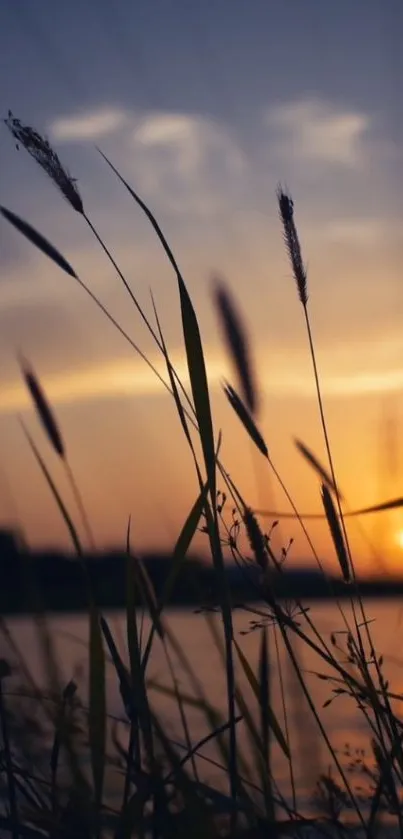 Silhouette of grass at sunset over a tranquil water scene.