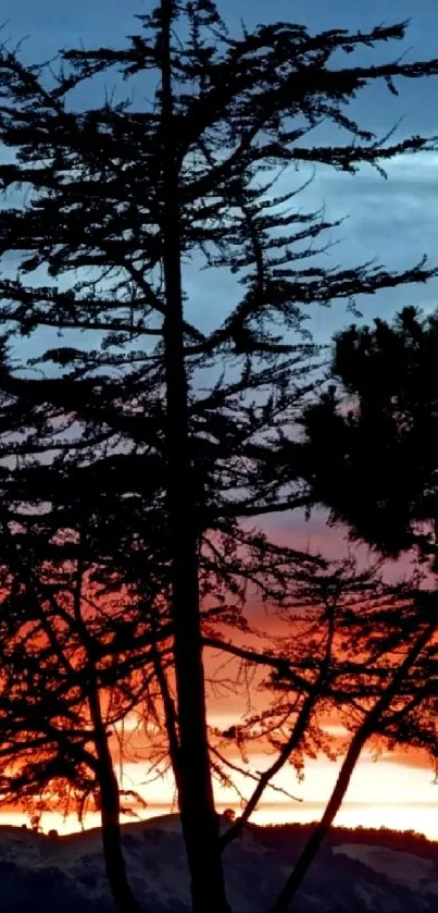 Silhouetted tree against a vibrant sunset on a mobile wallpaper.