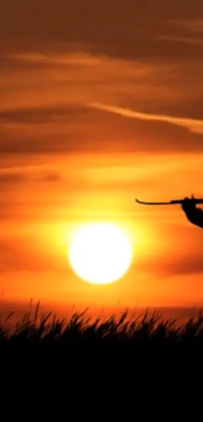 Silhouette of toy airplane against a vibrant sunset sky.