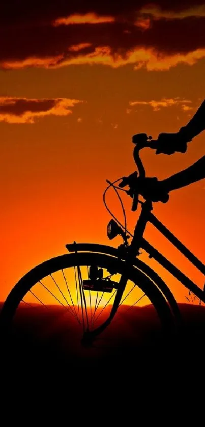 Silhouette of a cyclist and dog at sunset.