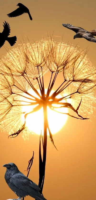 Silhouetted dandelion and birds at sunset with a perched crow.