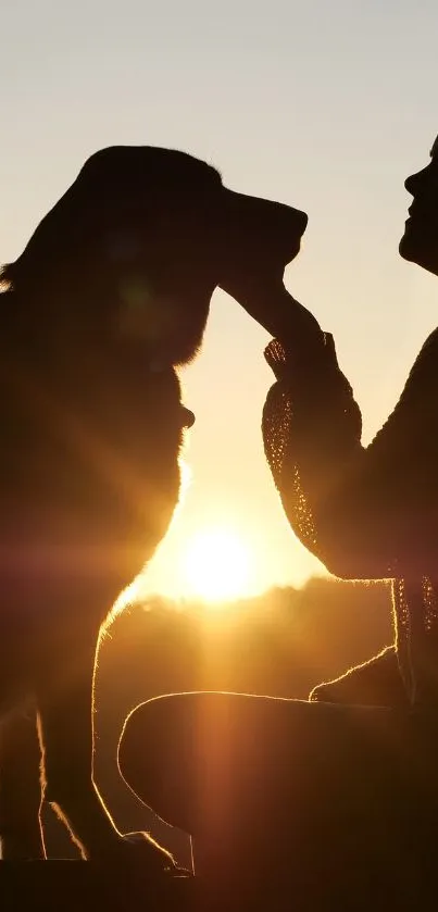 Silhouette of a dog and person against a golden sunset backdrop.