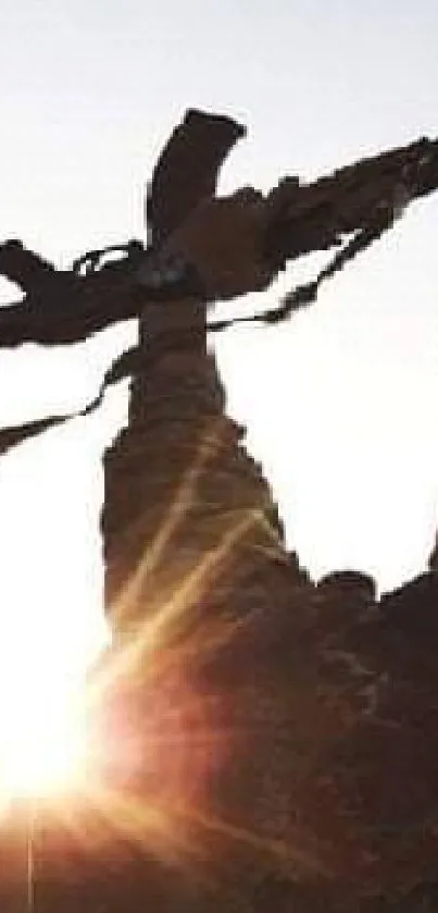 Silhouette of a person holding a rifle against a sunset sky.