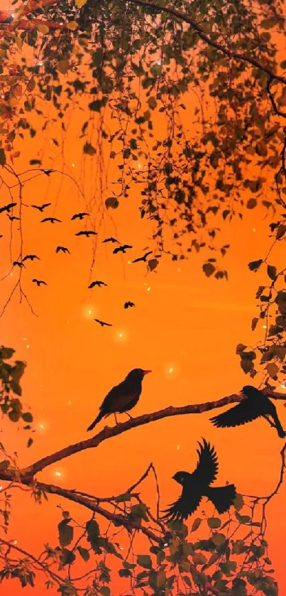 Silhouetted birds on branches against a vibrant orange sunset background.