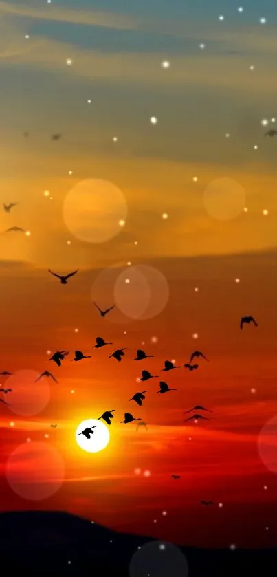 Orange sunset sky with flying birds silhouetted against glowing stars.