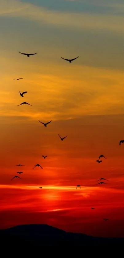 Vibrant sunset sky with flying birds