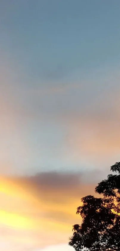 Sunset sky with silhouette of trees in foreground.