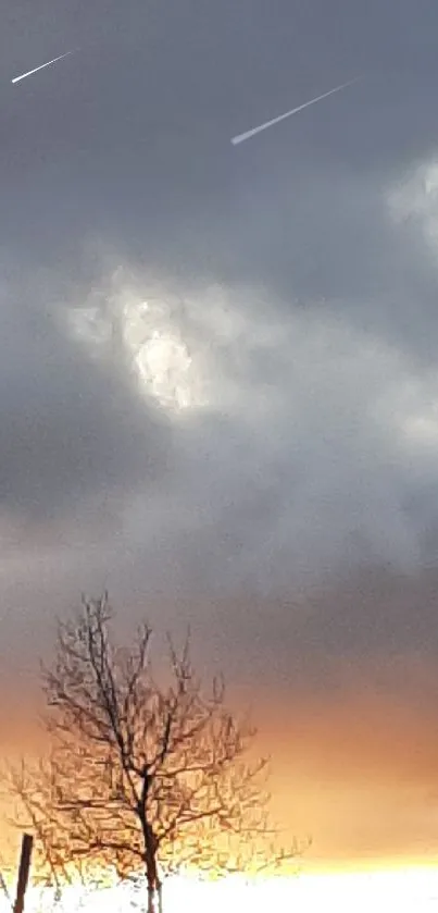 Moody sunset sky with silhouetted trees and gray clouds.