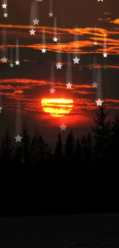 Beautiful sunset with stars over a dark forest silhouette.