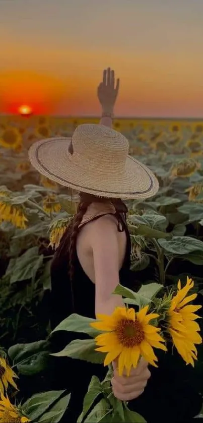 Woman in sunflower field at sunset, holding a sunflower.