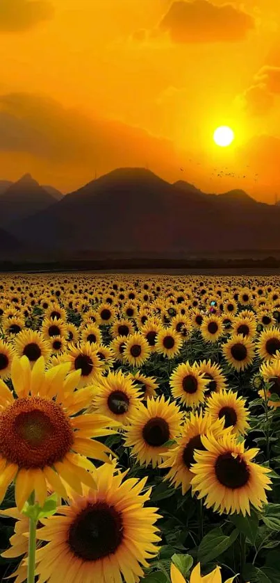 A vibrant sunflower field with a golden sunset and mountain silhouette.