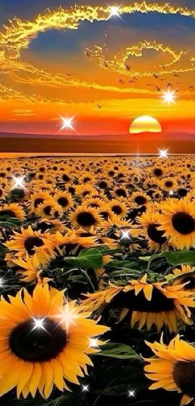 Vibrant sunset over sunflower field with vivid orange hues.