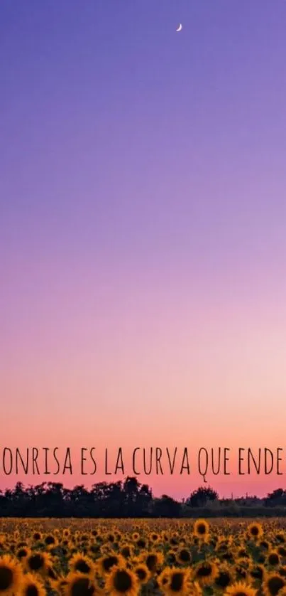 Purple sunset over a sunflower field wallpaper.