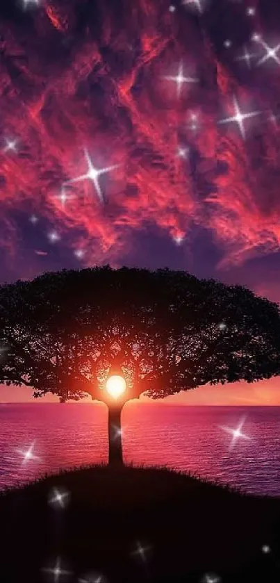 Silhouette tree with sunset and stars on a purple and pink sky wallpaper.