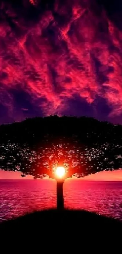 Stunning sunset with tree silhouette over ocean.