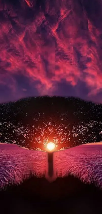 Silhouette of a tree against a vibrant sunset sky.