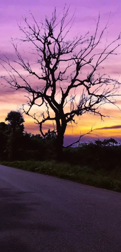 Silhouette of tree against a purple sunset sky with a road alongside.