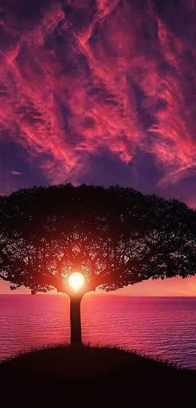 Silhouette of a tree at sunset with vibrant pink and purple sky over the ocean.