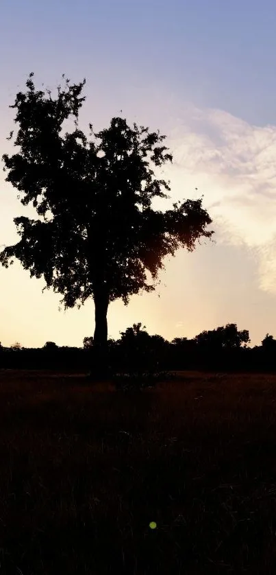 Silhouette of a tree against a vibrant sunset sky.