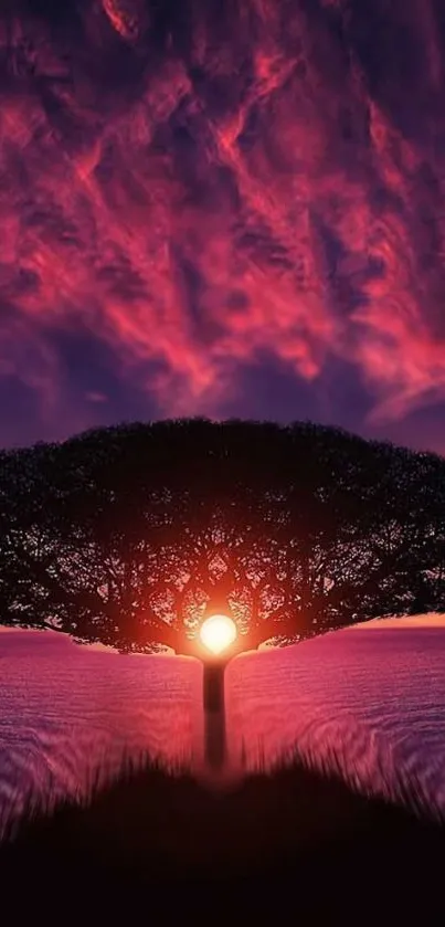 Tree silhouette against vivid sunset sky wallpaper.