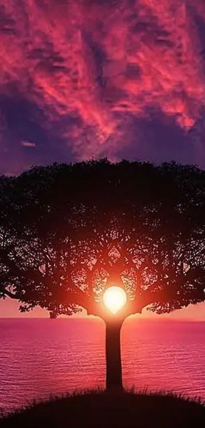 Tree silhouette against a pink sunset background.