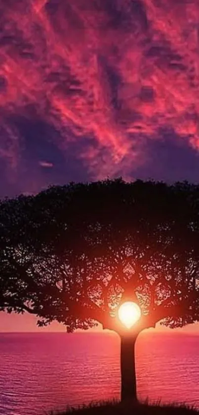 Silhouette of a tree against a vibrant crimson sunset sky and horizon.