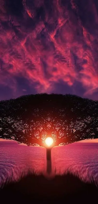 Majestic tree silhouette with a sunset sky background for mobile wallpaper.