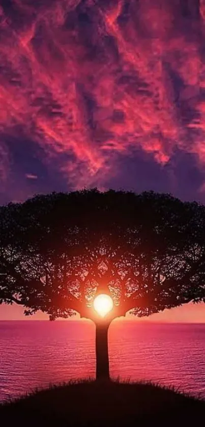 Silhouette of a tree against a vibrant pink sunset sky.