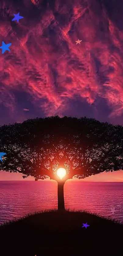 Lone tree silhouette with a vibrant sunset sky over the ocean.