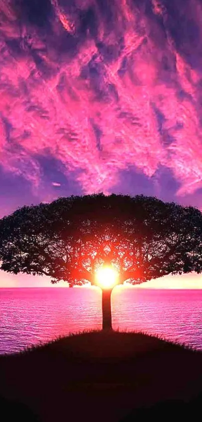 Tree silhouette against vibrant pink sunset sky.