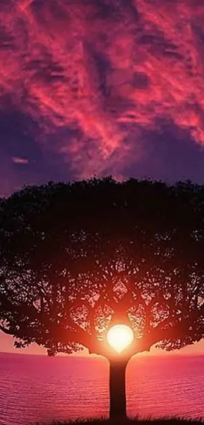 Tree silhouette with sunset and vivid purple sky.