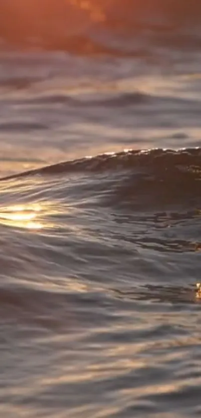 Calming ocean waves at sunset with golden reflections.