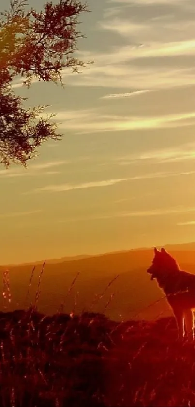 Silhouette of a wolf in a sunset wilderness scene with vibrant orange sky.