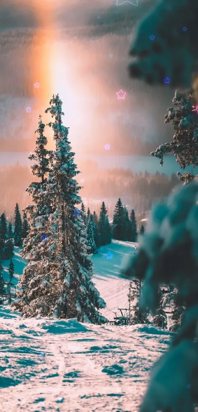 Snow-covered forest in sunset glow with a serene winter atmosphere.