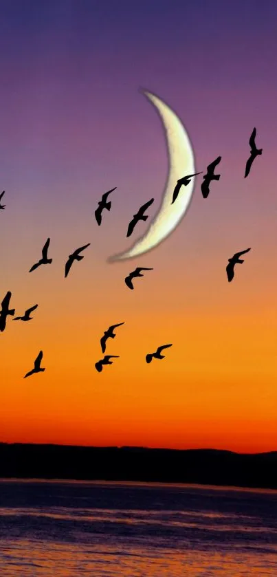 Crescent moon and birds silhouetted against a vibrant sunset sky.