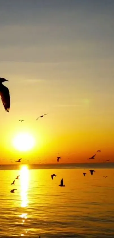 Mobile wallpaper of a sunset with birds flying over calm water.