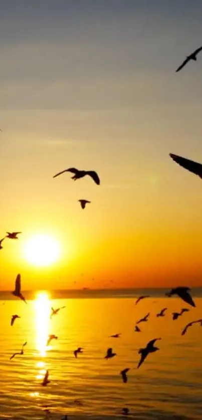 Sunset over ocean with birds in flight.