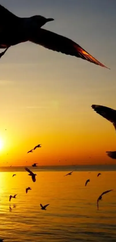 Sunset over the ocean with silhouetted birds flying.