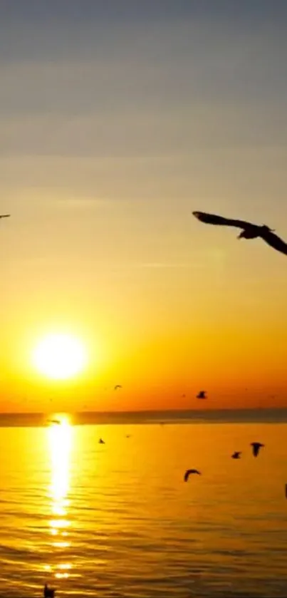 Sunset with birds flying over ocean waves.