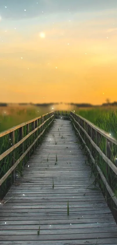 Sunset wooden pathway with grassy edges under an evening sky.